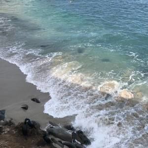 Meet your Posher, Mary ellen